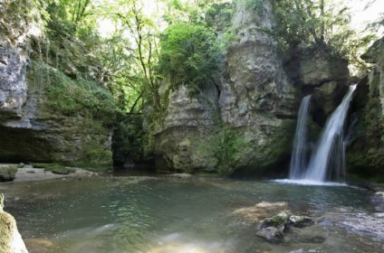 Tine de Conflens